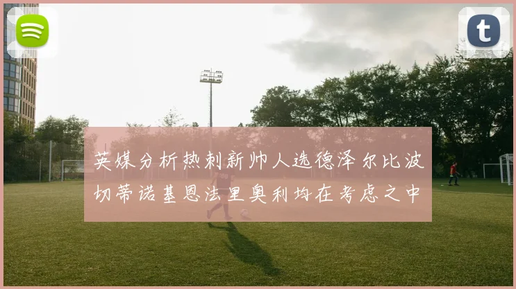 英媒分析热刺新帅人选德泽尔比波切蒂诺基恩法里奥利均在考虑之中
