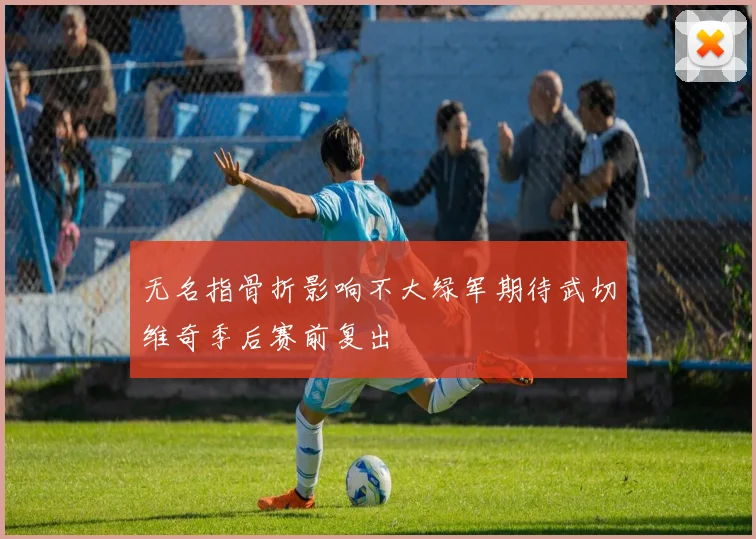 无名指骨折影响不大绿军期待武切维奇季后赛前复出