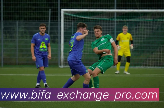 乌度卡称赞谢泼德投射能力期待他在阅读防守与传球方面的进步